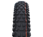 Schwalbe ALBERT TRAIL PRO RADIAL - Soft Evolution Line Faltreifen